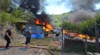 SAMANLıK - Samanlıkta Çıkan Yangın Ev Ve Ahırı Kül Etti