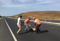 Tekirdağ'da Sürücüleri Tedirgin Eden Görüntü
