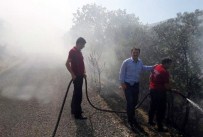 Adıyaman'da, Orman Yangını