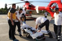 Arı Soktu Kalbi Durdu