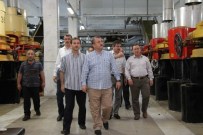 ÇAY İŞLETMELERI - ÇAYKUR Genel Müdürü Sütlüoğlu'ndan Fabrikalara Gece Baskını