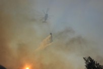 Osmaneli'nde Orman Yangını Sürüyor