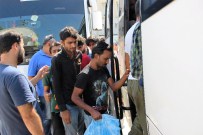 KAÇAK MÜLTECİ - 239 Kaçak Mülteci Yakalandı