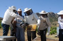 KıLıÇKAYA - Adana'da 9 Bin 700 Ton Bal Rekoltesi Bekleniyor