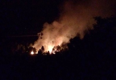 Elazığ'da Ormanlık Alanda Çıkan Yangın 6 Saatte Söndürüldü