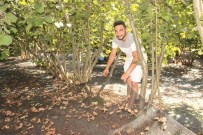 PÜF NOKTASı - Genç Girişimciden Pratik Çözüm