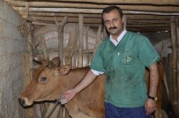 SAĞLIK KOMİSYONU - Hayvan Hırsızlığına Karşı Kilitli Çözüm