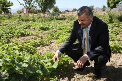 Organik Bahçe'nin Temeli Atılıyor