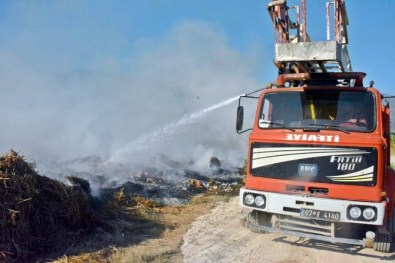Antalya'da Sazlık Alanda Yangın Çıktı