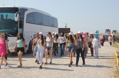 Bitlis, Manisa Ve Uşaklı Gençler Samsun'da