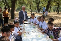 MUSTAFA BOZBEY - Bozbey'den Balat Doğa Ve Bilim Yaz Okulu'na Ziyaret