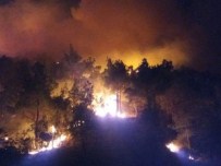 ORMAN İŞÇİSİ - Çorum'da 55 Hektar Orman Yandı