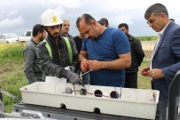 Dicle EDAŞ'tan Kayıt Dışı Elektrik Kullanan Abonelere Uyarı
