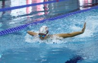 Engelli Yüzücüden Büyük Başarı Açıklaması 4 Yılda 24 Madalya, 2 Kupa