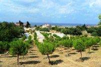 BEYLIKDÜZÜ BELEDIYESI - Minik İzciler Beylikdüzü'nde Kamp Kuracak