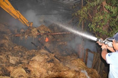 Ortaca'da Ahır Yangınında Bin Balya Ot Kül Oldu