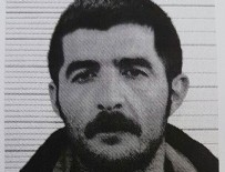BAHOZ ERDAL - Üst düzey PKK'lı yakalandı