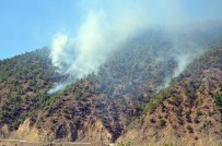 ORMAN İŞÇİSİ - Çorum'da 3 Gün Önce Başlayan Yangın Kontrol Altına Alındı