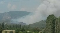 ORMAN İŞÇİSİ - Muğla'da Orman Yangını