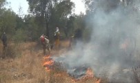 Muğla'da Yangın Büyümeye Devam Ediyor