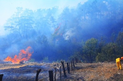 Muğla'daki Orman Yangını Kontrol Altına Alınamıyor