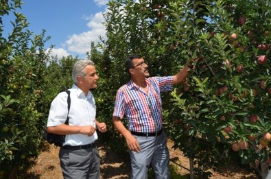 Eğirdir'den Ülke Ekonomisine 400 Milyon Lira Katma Değer