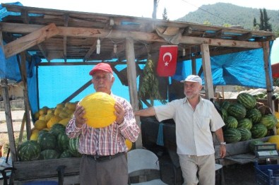 Osmaneli'nde Yerli Karpuz Ve Kavun Satışları Çiftçinin Yüzünü Güldürdü