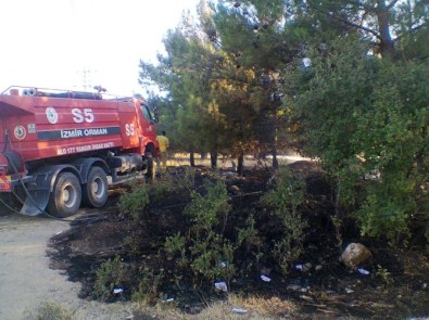 Aliağa'da Otluk Alanda Yangın