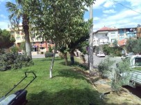 GÖKHAN KARAÇOBAN - Alpaslan Türkeş Meydanına Bakım