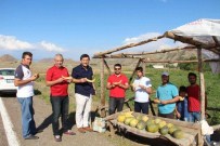 Dutlu Köyü Kavunları Asfalt Kenarında Satışa Çıktı