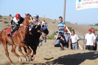 Taşköprü'de '15 Temmuz Demokrasi Şehitleri' Anısına At Yarışları Düzenlenecek