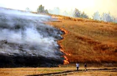 Anız yakanlara para cezası geliyor