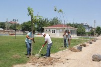 Bulgurca'da Sona Gelindi