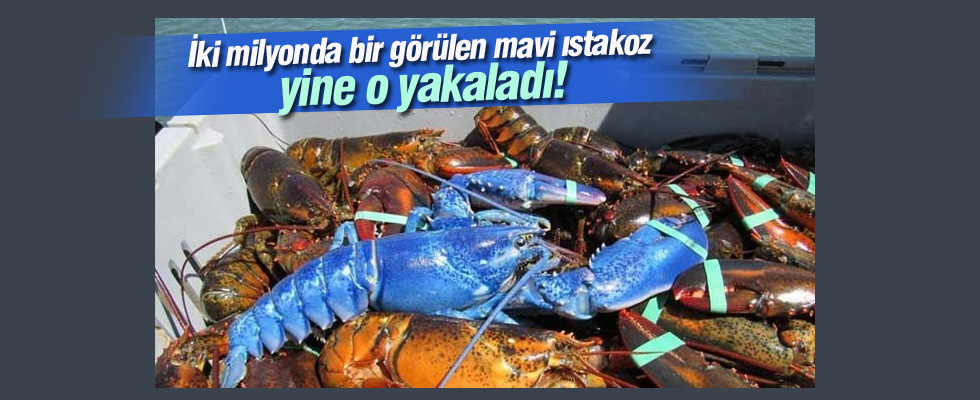 İki milyonda bir görülüyor!