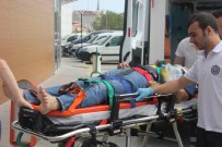 İncir Toplarken Canından Oluyordu