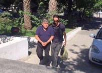 TOPARLAR - Köyceğiz'de FETÖ/PYD Operasyonu; 1 Tutuklama