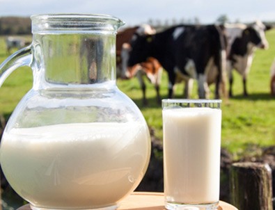 Süt üretimi yıllık bazda yüzde 3,5 arttı
