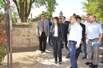 NURULLAH KAYA - Vali Yılmaz, Altınova'yı Gezdi