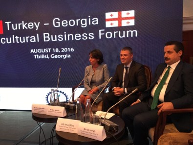 Bakan Çelik'ten Gürcistan'a 15 Temmuz Teşekkürü