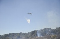 Çanakkale'deki Orman Yangını Kontrol Altına Alındı