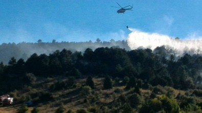 Derbent'te Ormanlık Alanda Çıkan Yangın Söndürüldü