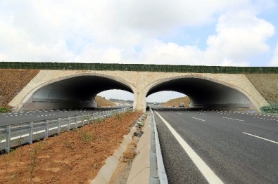 Türkiye'nin ilk yaban hayatı köprüsü
