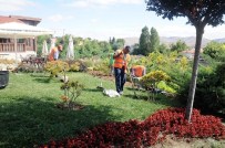 ÇÖP EV - Kırşehir'de Yabani Ot Temizliği Aralıksız Devam Ediyor