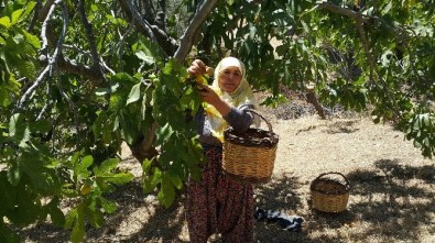 Aylık 5 bin TL maaşla işçi bulamıyorlar