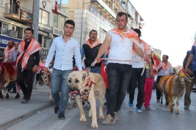 Şehrin Ortasında Koçlu Ve Kangallı Yürüyüş
