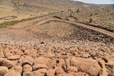 Akçörten Göleti'nin Yapımı Tamamlandı