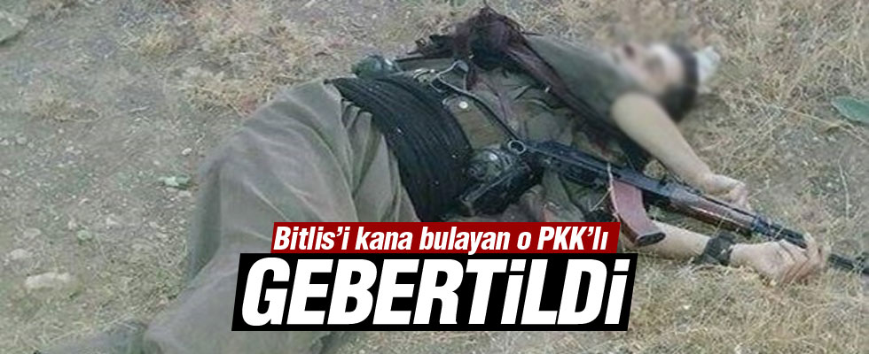 Bitlis'i kana bulayan PKK'lı terörist öldürüldü