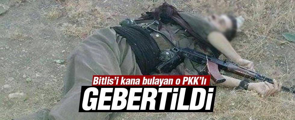 Bitlis'i kana bulayan PKK'lı terörist öldürüldü