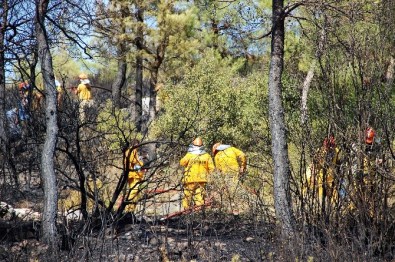 Bodrum'da Çıkan Orman Yangını Kısa Sürede Söndürüldü