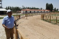 YARIŞ ATI - Ereğli'de Atlı Spor Kulübü'nde Sona Yaklaşılıyor